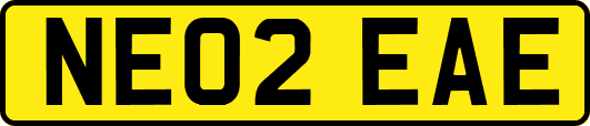 NE02EAE