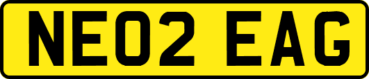 NE02EAG