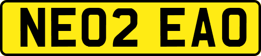NE02EAO