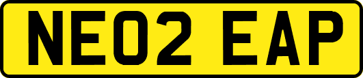 NE02EAP