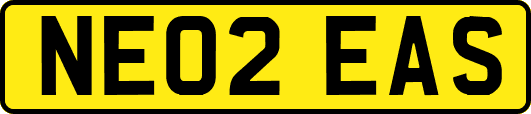 NE02EAS
