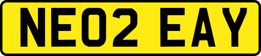 NE02EAY