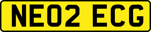 NE02ECG