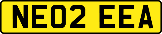NE02EEA