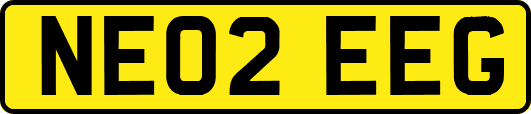 NE02EEG