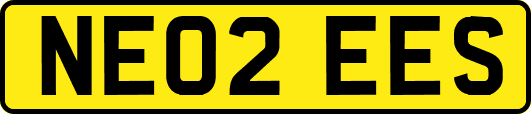 NE02EES