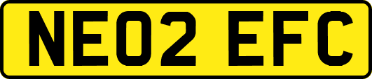 NE02EFC