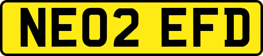 NE02EFD