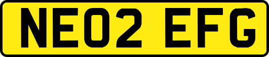 NE02EFG