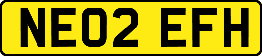 NE02EFH