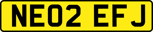 NE02EFJ