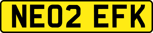 NE02EFK