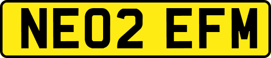 NE02EFM
