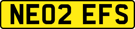 NE02EFS