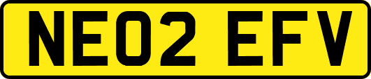 NE02EFV