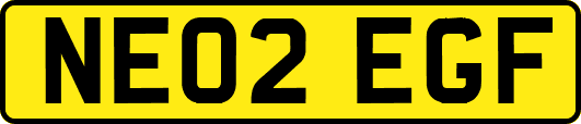 NE02EGF