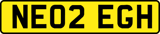 NE02EGH