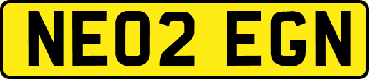 NE02EGN