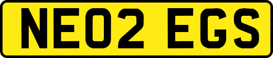 NE02EGS