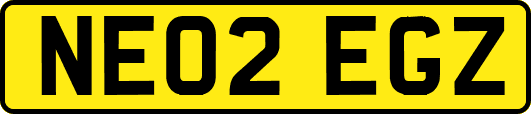 NE02EGZ
