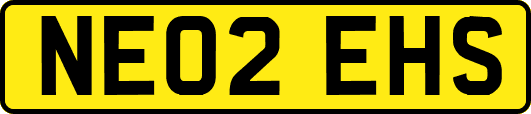 NE02EHS