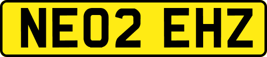 NE02EHZ