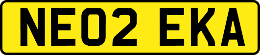 NE02EKA