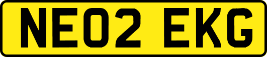 NE02EKG