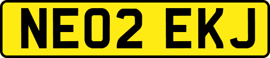 NE02EKJ