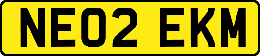 NE02EKM