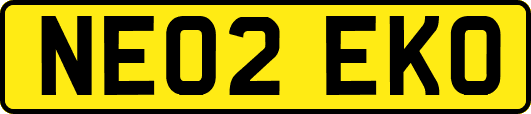 NE02EKO