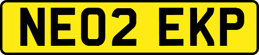 NE02EKP