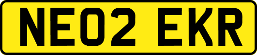 NE02EKR