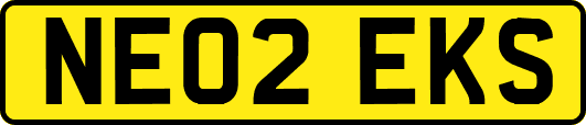 NE02EKS