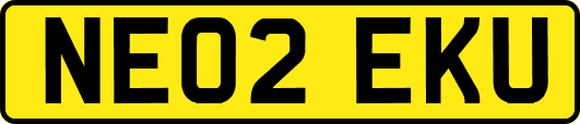 NE02EKU
