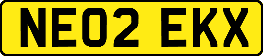 NE02EKX