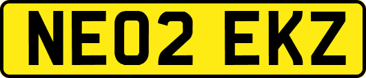 NE02EKZ