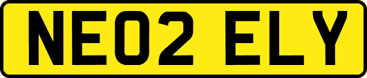 NE02ELY