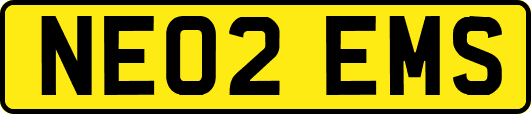 NE02EMS