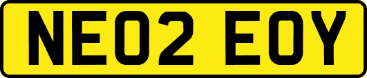 NE02EOY