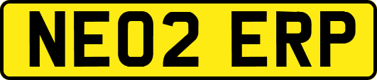 NE02ERP