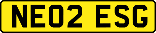 NE02ESG