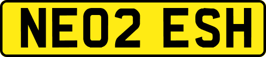 NE02ESH
