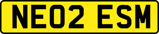 NE02ESM