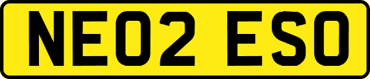 NE02ESO