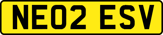 NE02ESV