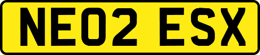 NE02ESX