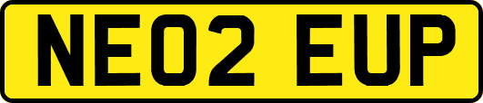 NE02EUP