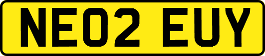 NE02EUY