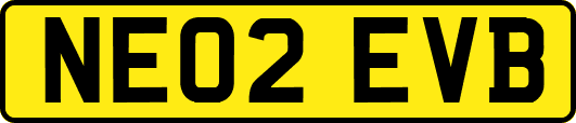 NE02EVB
